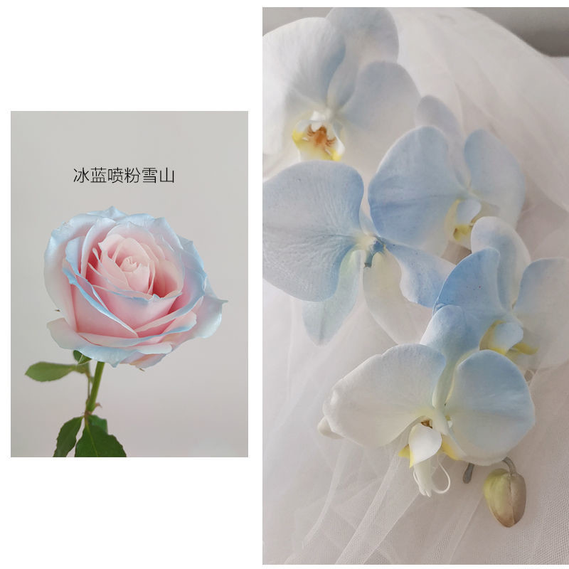 Blumen-Perlen-Farbspray MSDS 350ml, Zinnblech-Farben-Spray für Blumen